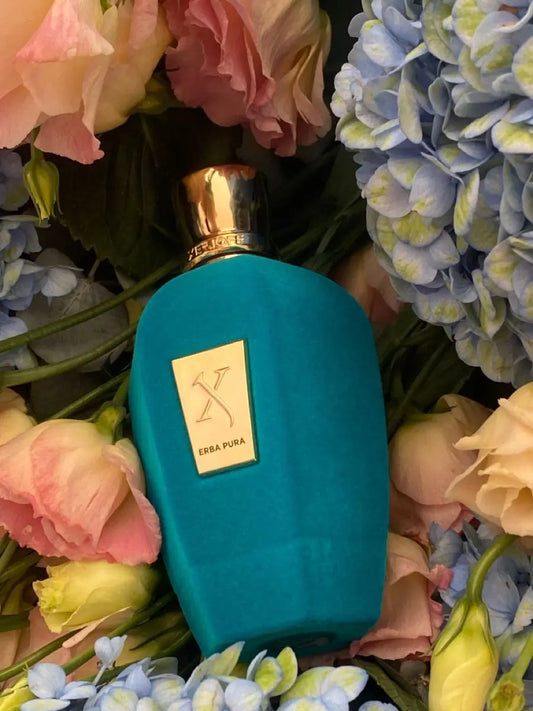 ✨ Xerjoff Erba Pura – Eau de Parfum 100ml My Store